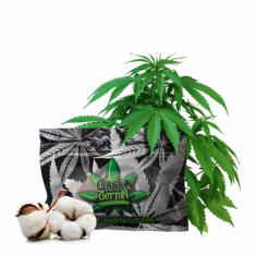 Canna Cotton
