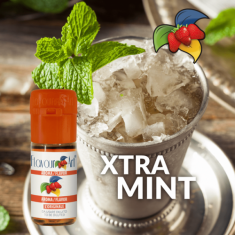 Flavourart Flavour XTRA MINT