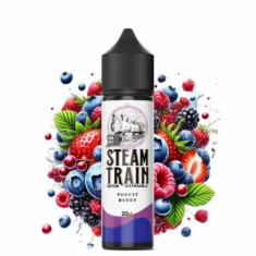 Steam Train Disposable Edition Forest Berry 60ml