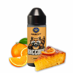 Mascot Flavour Shot Racoon 120ml