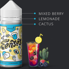 Omerta 5 Senses - Mixed Berry Lemonade Cactus 120ml
